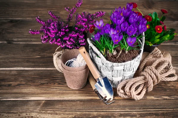 Spring flowers in wicker basket with garden tools — Fotografie, imagine de stoc