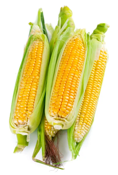 Fresh corn with green leaf — Stock Photo, Image