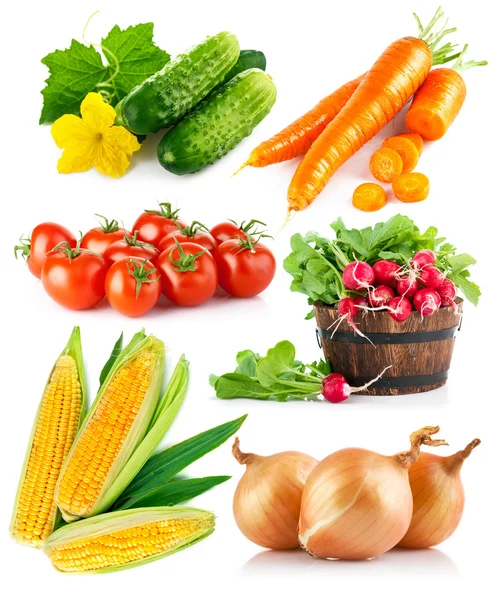 Set fresh vegetables — Stock Photo, Image