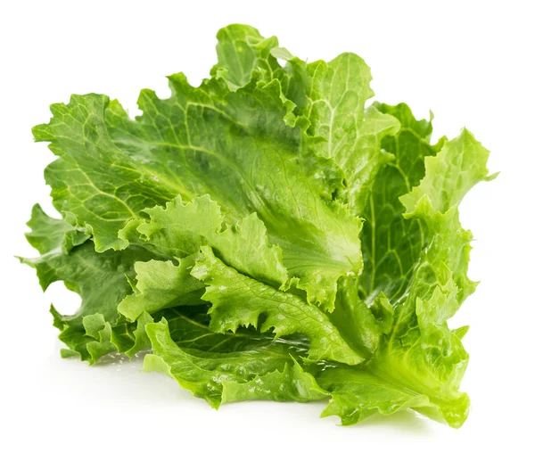 Leaf fresh lettuce — Stock Photo, Image