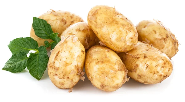 New potatoes with green leaves — Stock Photo, Image