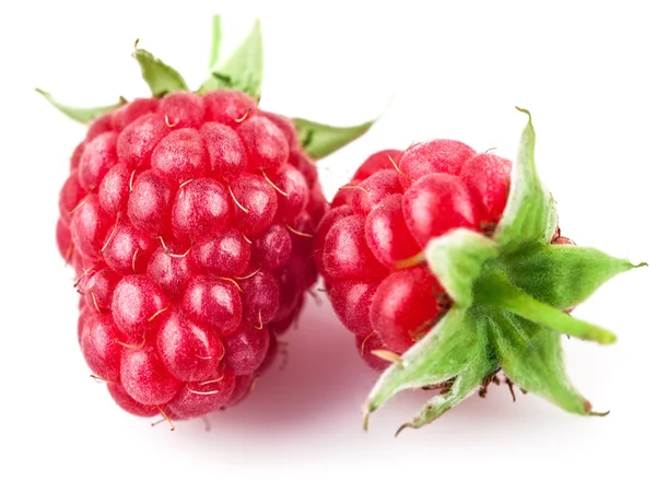 Fresh raspberry with green leaves — Stock Photo, Image