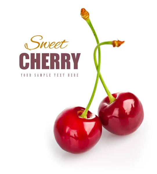 Two fresh ripe cherry berries — Stock Photo, Image