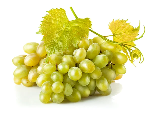 Cluster white grapes with leaf — Stock Photo, Image