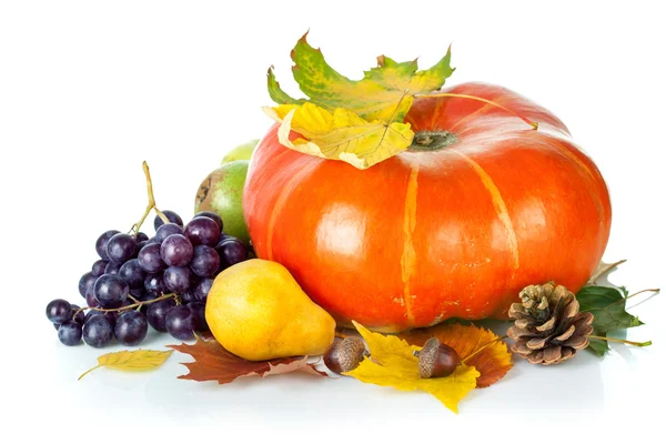 Kabak ve üzüm ile sonbahar natürmort — Stok fotoğraf