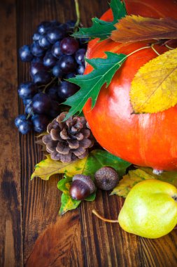 Kabak ve ahşap tahta üzerinde üzüm ile sonbahar natürmort