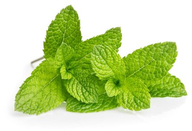 Yeşil nane yaprağı. Mojito ve ferahlatıcı kokteyller ya da çay içeceği için taze aromatik otlar. Organik doğal bitki yaprağı. Beyaz arkaplanda izole