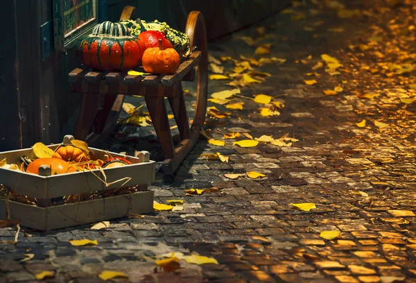 Semester dekoration för halloween — Stockfoto