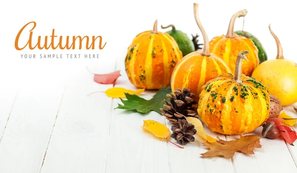 Autumnal pumpkins with yellow leaves — Stock Photo, Image