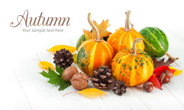 Autumnal pumpkins with yellow leaves — Stock Photo, Image