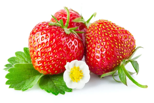 Frische Erdbeeren mit grünen Blättern und Blumen — Stockfoto