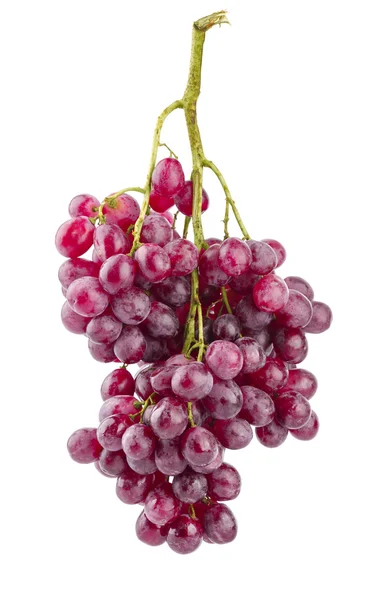 Grappe raisins frais fruit mûr — Photo