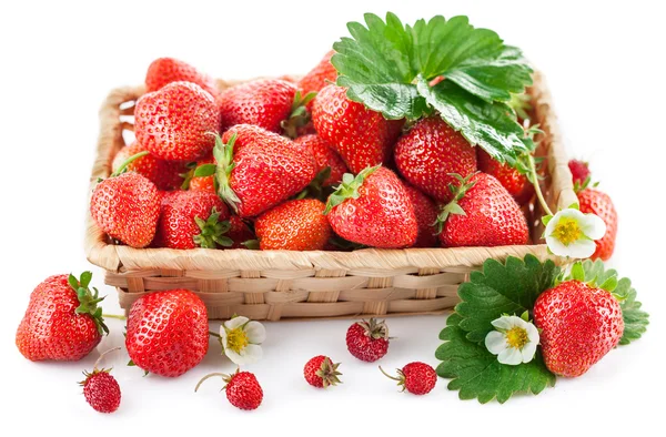 篮子新鲜草莓的绿叶和花朵 — 图库照片
