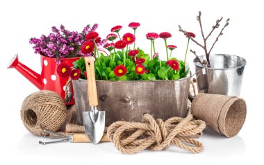 Bahar çiçekleri Bahçe aletleri ile tahta kova