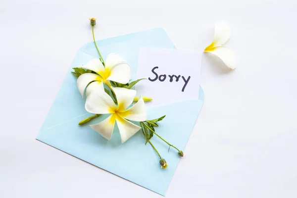 Cartão Mensagem Desculpas Caligrafia Envelope Azul Com Flores Brancas Arranjo — Fotografia de Stock