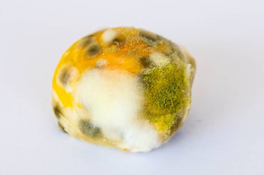 arkaplan dokusu tatlıların son kullanma tarihi beyaz üzerine küflenir 