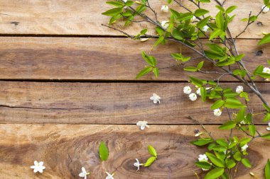 Bahar mevsiminde Asya 'nın yerel bitki örtüsü düzleştirilmiş beyaz küçük çiçekler arka plan tahtasına kartpostal şeklinde seriliyordu.