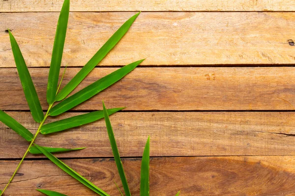 Bakgrund Struktur Natur Bambu Löv Arrangemang Platt Låg Vykort Stil — Stockfoto