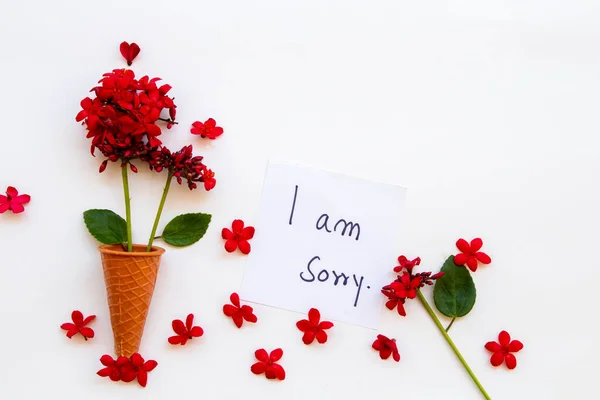 Omlouvám Zpráva Karta Rukopis Červenými Květy Rubiaceae Kuželovité Uspořádání Byt — Stock fotografie