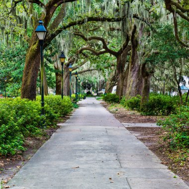 Savannah, ga Forsyth Parkı