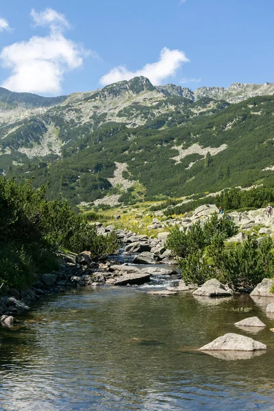 Paysage Incroyable Vallée Rivière Banderitsa Pirin Mountain Bulgarie — Photo