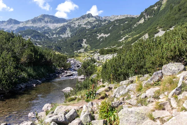 Increíble Paisaje Del Valle Del Río Banderitsa Montaña Pirin Bulgaria —  Fotos de Stock