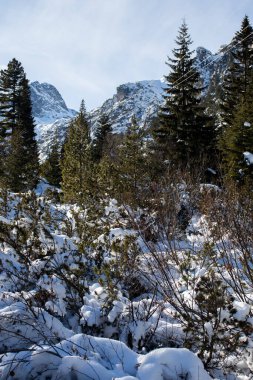 Malyovitsa zirvesinin kış manzarası, Rila Dağı, Bulgaristan