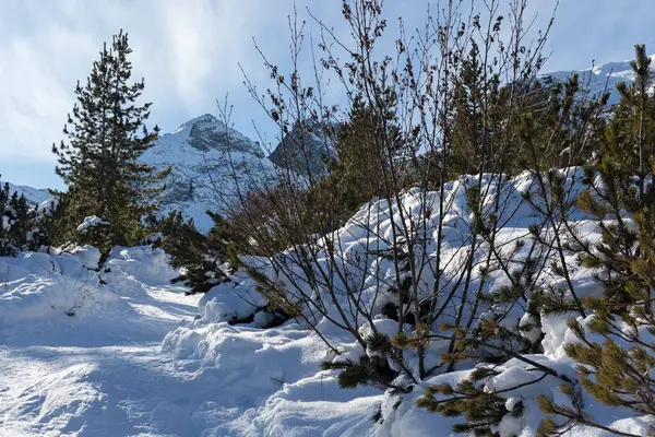 Zimowy Krajobraz Szczytu Malyovitsa Góra Riła Bułgaria — Zdjęcie stockowe