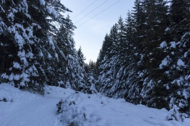 Malyovitsa tepesinden Malyovitsa 'ya kış manzarası, Rila Dağı, Bulgaristan