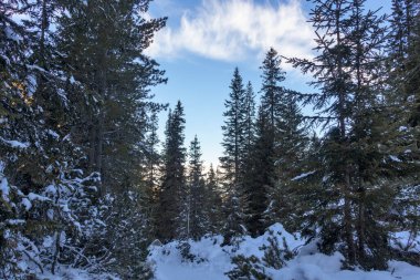 Malyovitsa tepesinden Malyovitsa 'ya kış manzarası, Rila Dağı, Bulgaristan