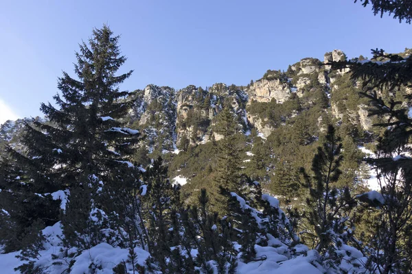 Зимний Вид Пешеходной Тропы Малевица Горы Рила Болгария — стоковое фото