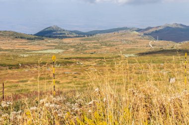 Bulgaristan 'ın başkenti Sofya' nın Vitosha Dağı 'nda Cherni Vrah için yapılan yürüyüş parkurundan sonbahar manzarası