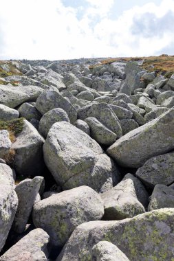 Bulgaristan 'ın başkenti Sofya' nın Vitosha Dağı 'nda Cherni Vrah için yapılan yürüyüş parkurundan sonbahar manzarası