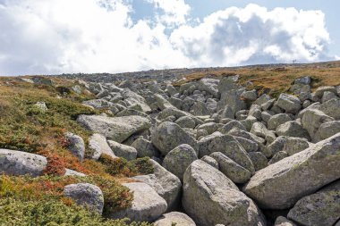 Bulgaristan 'ın başkenti Sofya' nın Vitosha Dağı 'nda Cherni Vrah için yapılan yürüyüş parkurundan sonbahar manzarası