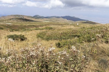 Bulgaristan 'ın başkenti Sofya' nın Vitosha Dağı 'nda Cherni Vrah için yapılan yürüyüş parkurundan sonbahar manzarası