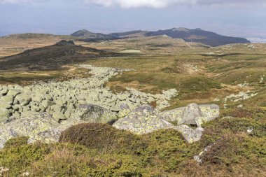 Bulgaristan 'ın başkenti Sofya' nın Vitosha Dağı 'nda Cherni Vrah için yapılan yürüyüş parkurundan sonbahar manzarası