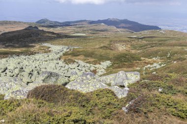 Bulgaristan 'ın başkenti Sofya' nın Vitosha Dağı 'nda Cherni Vrah için yapılan yürüyüş parkurundan sonbahar manzarası