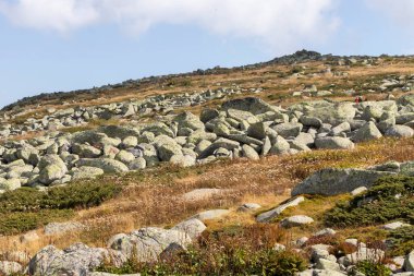 Bulgaristan 'ın başkenti Sofya' nın Vitosha Dağı 'nda Cherni Vrah için yapılan yürüyüş parkurundan sonbahar manzarası