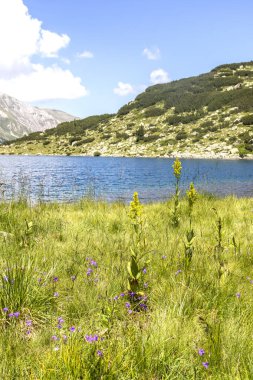 Bulgaristan 'ın Pirin Dağı' ndaki Balık Banderitsa gölünün muhteşem manzarası