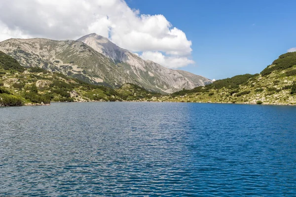 Amazing Landscape Fish Banderitsa Lake Pirin Mountain Bulgaria — Stock Photo, Image