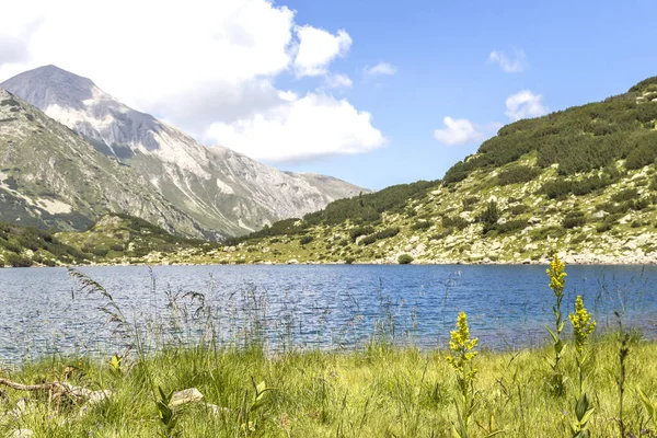 Paesaggio Incredibile Pesce Lago Banderitsa Pirin Mountain Bulgaria — Foto Stock