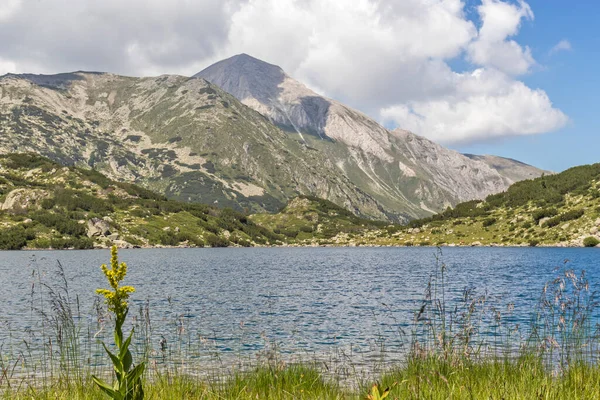 Úžasná Krajina Rybího Jezera Banderitsa Hoře Pirin Bulharsko — Stock fotografie