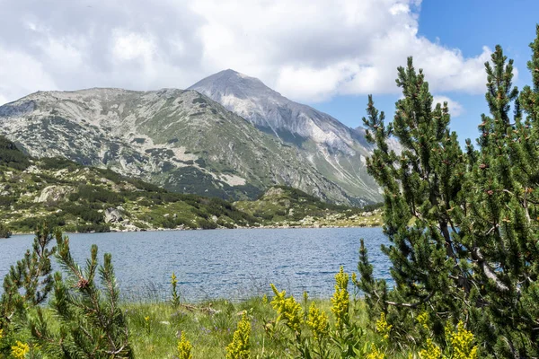 Pemandangan Luar Biasa Danau Ikan Banderitsa Pirin Mountain Bulgaria — Stok Foto