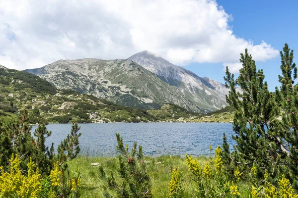 Bulgaristan Pirin Dağı Ndaki Balık Banderitsa Gölünün Muhteşem Manzarası — Stok fotoğraf