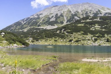 Bulgaristan 'ın Pirin Dağı ve Balık Banderitsa gölünün yaz manzarası