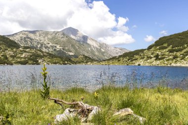 Bulgaristan 'ın Pirin Dağı ve Balık Banderitsa gölünün yaz manzarası