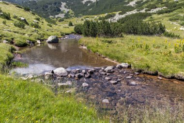 Banderitsa Nehri, Pirin Dağı, Bulgaristan ile İnanılmaz Manzara