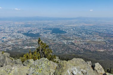 Bulgaristan 'ın Vitosha Dağı' ndaki Kamen Del Peak kentinden Sofya 'nın muhteşem manzarası