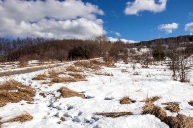 Winter view of Kopititoto area at Vitosha Mountain, Sofia City region, Bulgaria