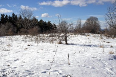 Winter view of Kopititoto area at Vitosha Mountain, Sofia City region, Bulgaria